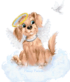 ti chien