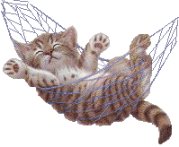minou